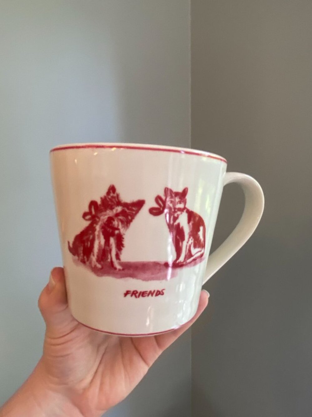 Anthropologie Ceramic Mug Molly Hatch Red Ink "Friends" Dog & Cat 16 Oz